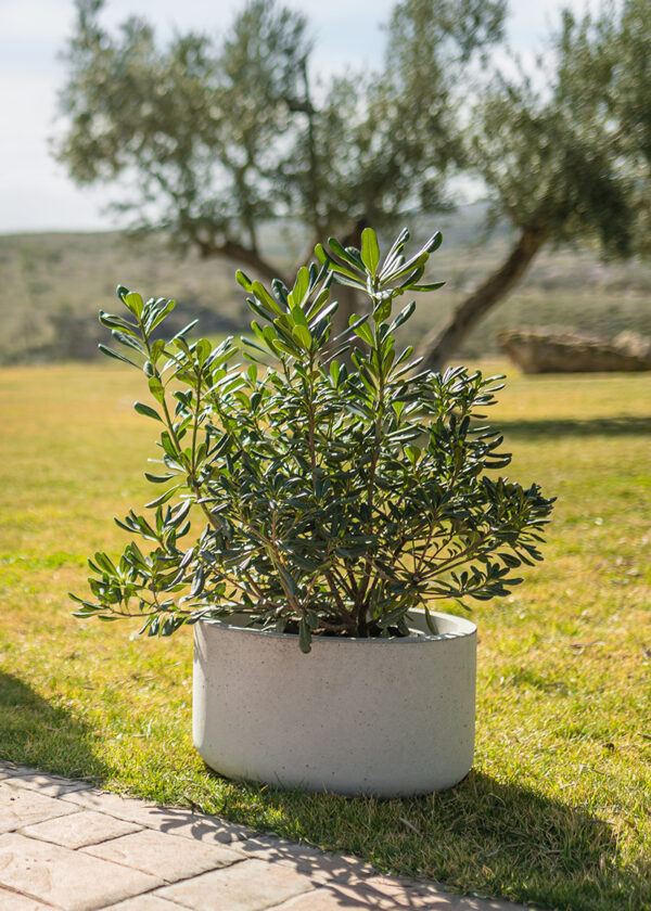 jardinera Hikui Concreativa